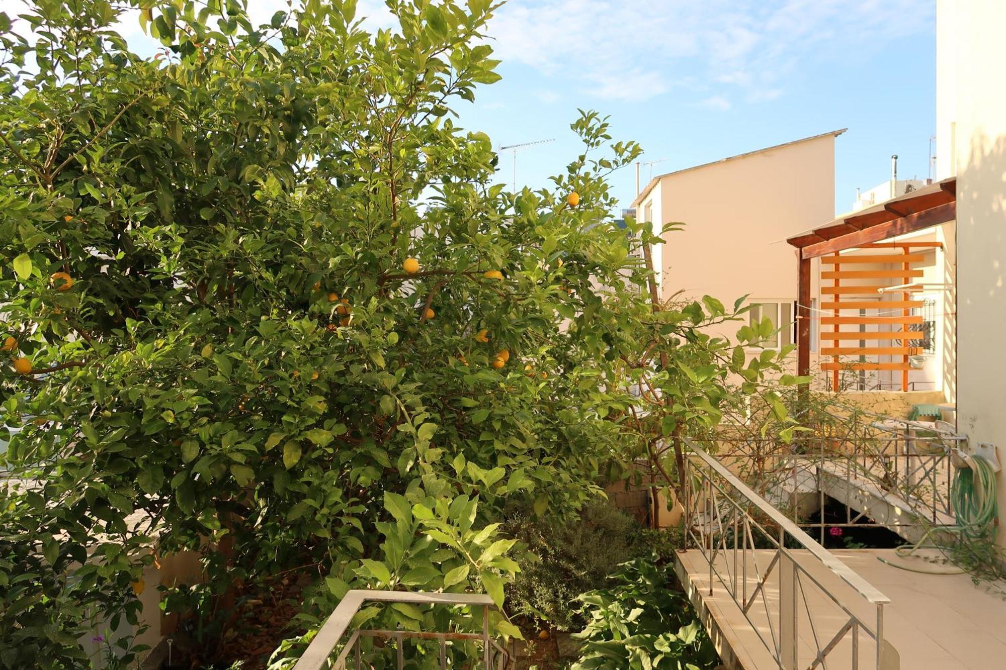 Sunbeam Retreat Villa Ханя Екстериор снимка